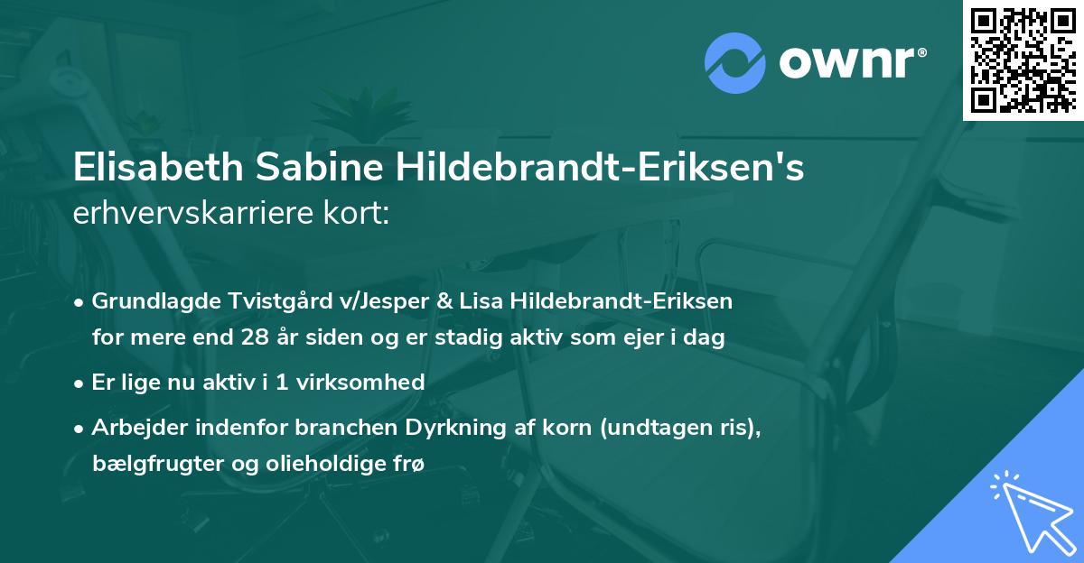 Elisabeth Sabine Hildebrandt-Eriksen's erhvervskarriere kort