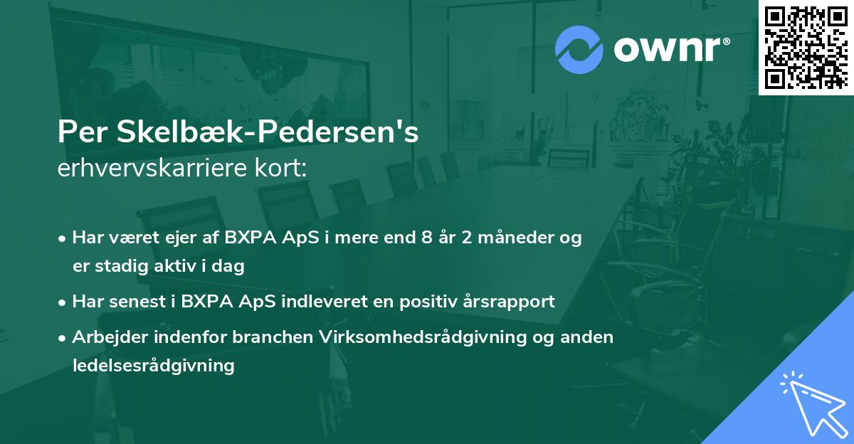 Per Skelbæk-Pedersen's erhvervskarriere kort
