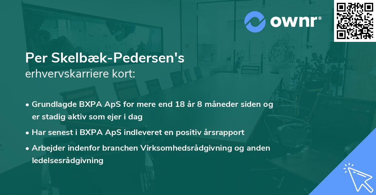 Per Skelbæk-Pedersen's erhvervskarriere kort