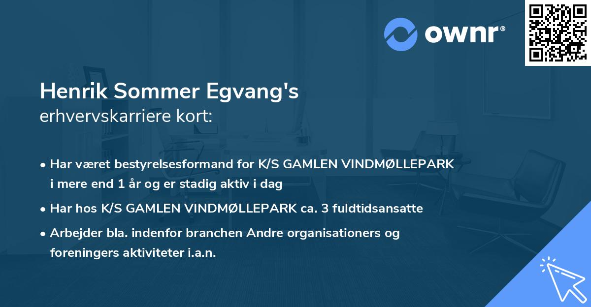 Henrik Sommer Egvang's erhvervskarriere kort