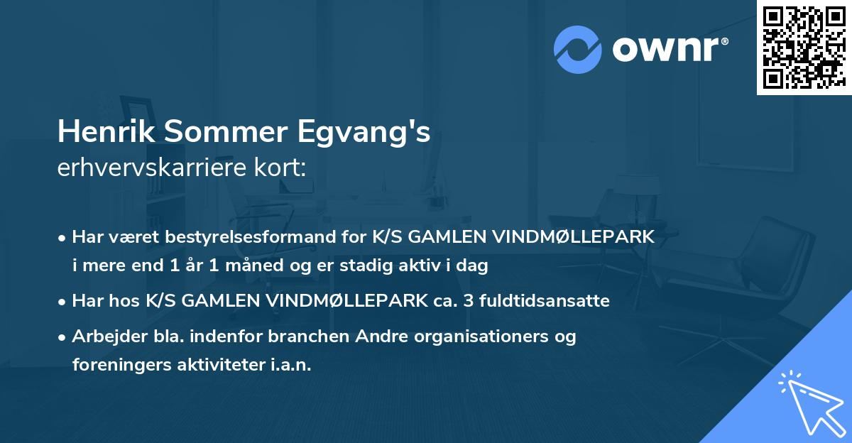 Henrik Sommer Egvang's erhvervskarriere kort