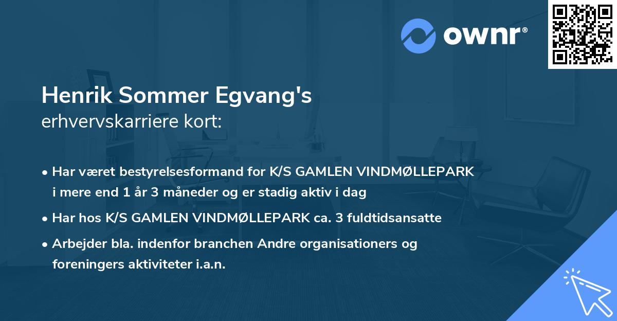Henrik Sommer Egvang's erhvervskarriere kort