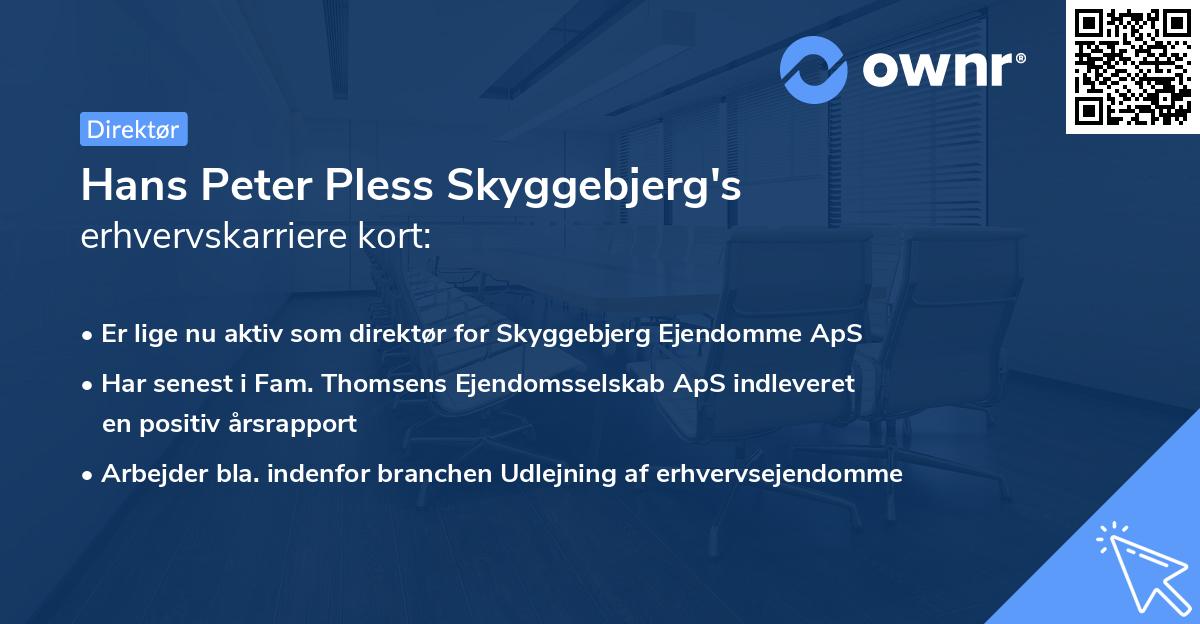 Hans Peter Pless Skyggebjerg's erhvervskarriere kort