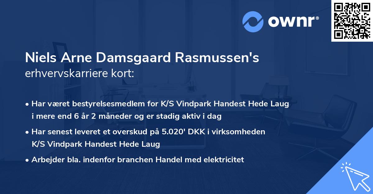 Niels Arne Damsgaard Rasmussen's erhvervskarriere kort