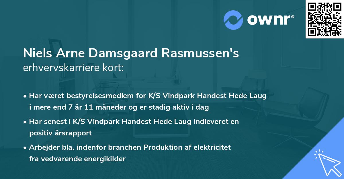 Niels Arne Damsgaard Rasmussen's erhvervskarriere kort
