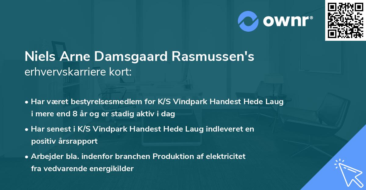 Niels Arne Damsgaard Rasmussen's erhvervskarriere kort