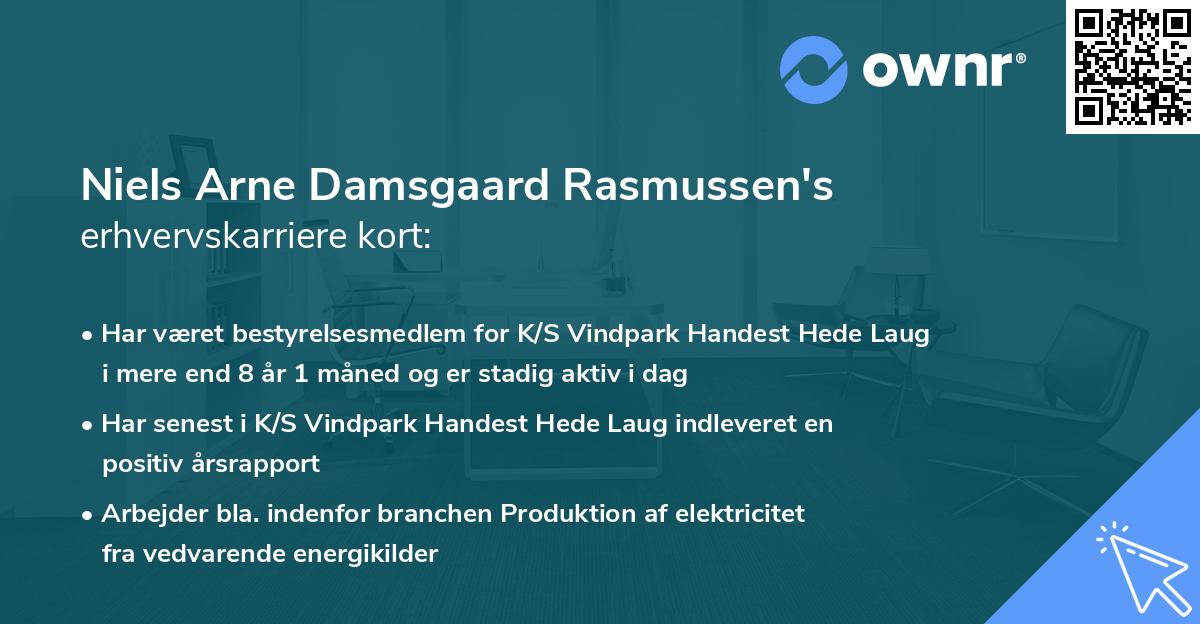 Niels Arne Damsgaard Rasmussen's erhvervskarriere kort