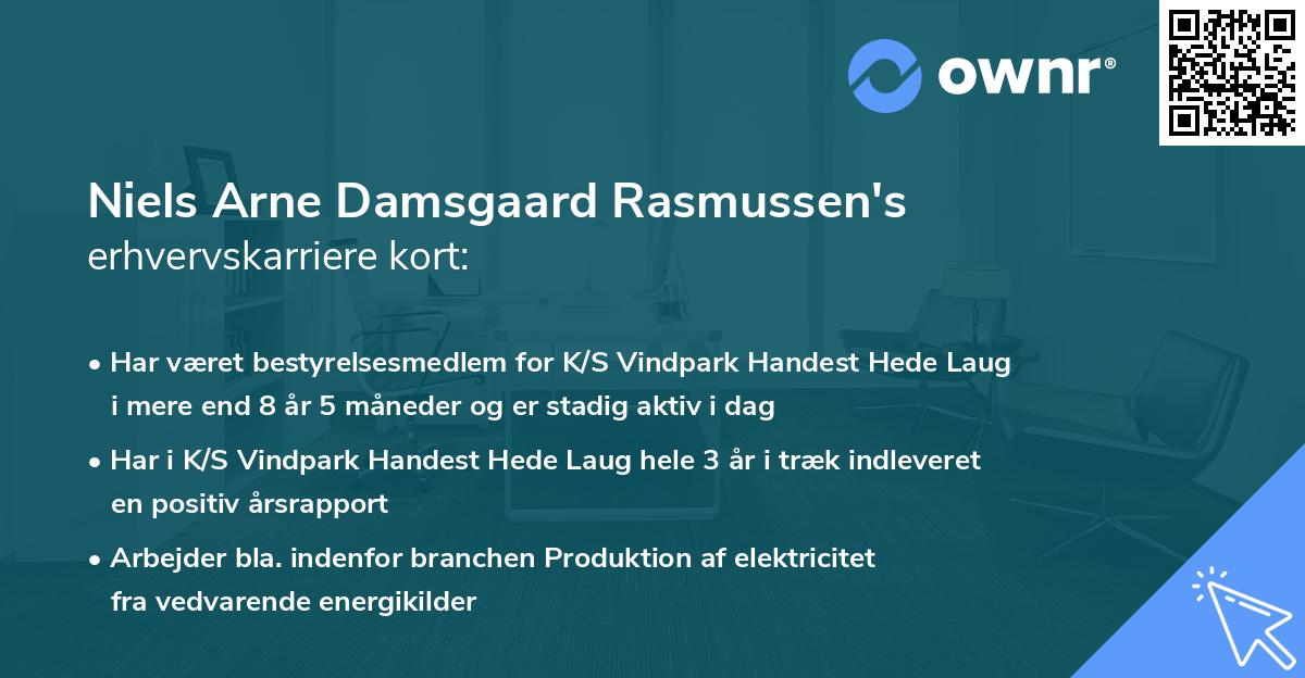Niels Arne Damsgaard Rasmussen's erhvervskarriere kort