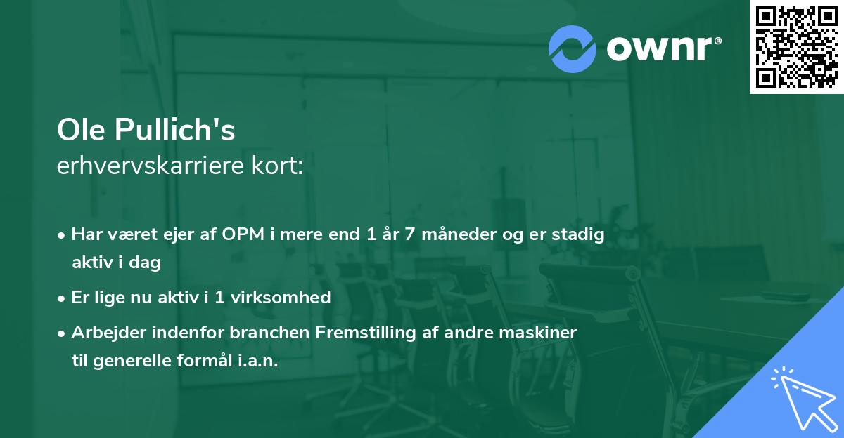 Ole Pullich's erhvervskarriere kort