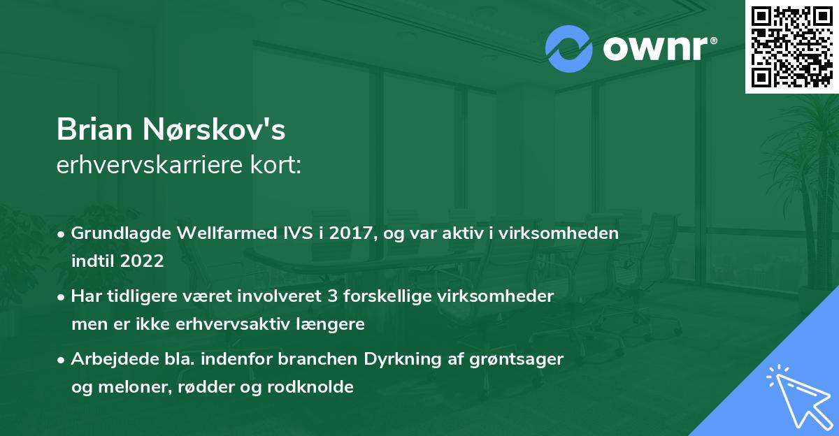 Brian Nørskov's erhvervskarriere kort