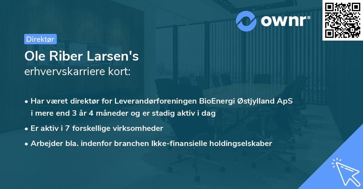 Ole Riber Larsen's erhvervskarriere kort