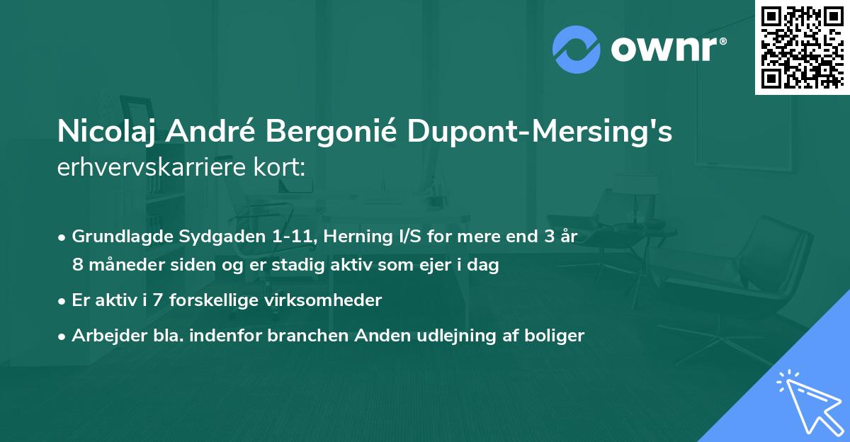 Nicolaj André Bergonié Dupont-Mersing's erhvervskarriere kort