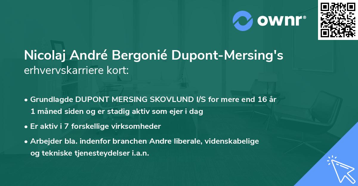 Nicolaj André Bergonié Dupont-Mersing's erhvervskarriere kort