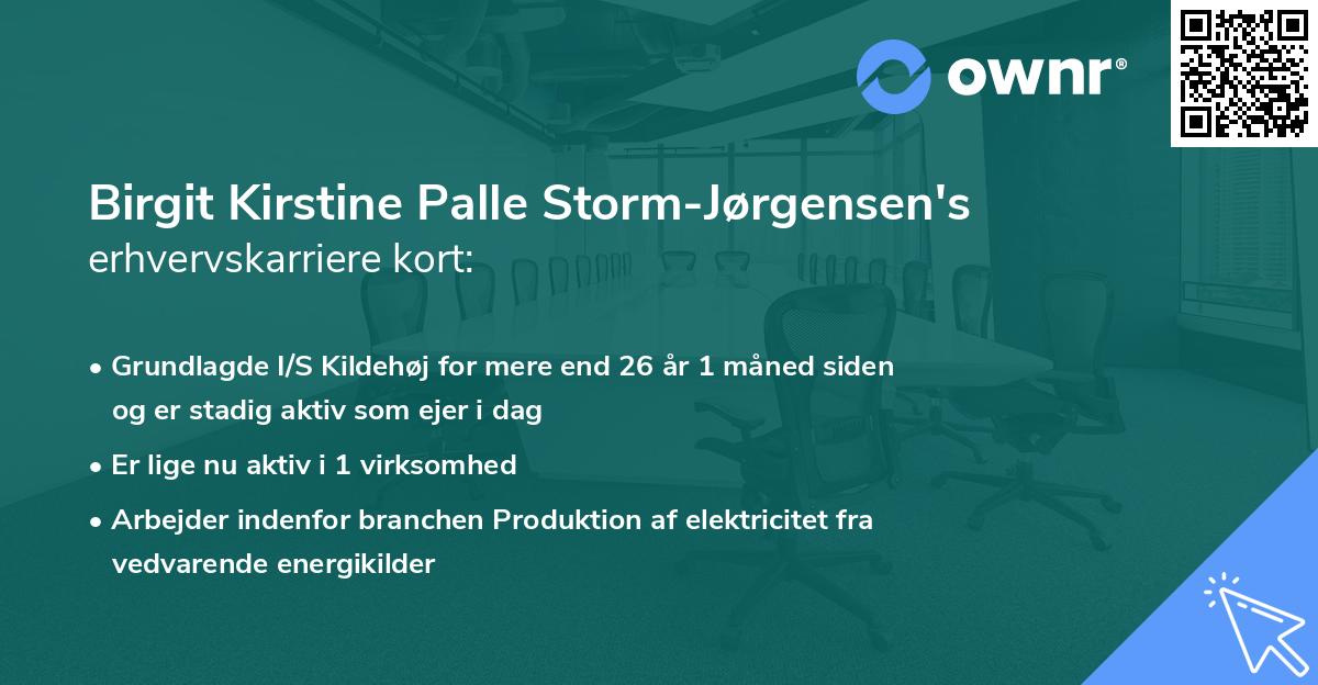 Birgit Kirstine Palle Storm-Jørgensen's erhvervskarriere kort