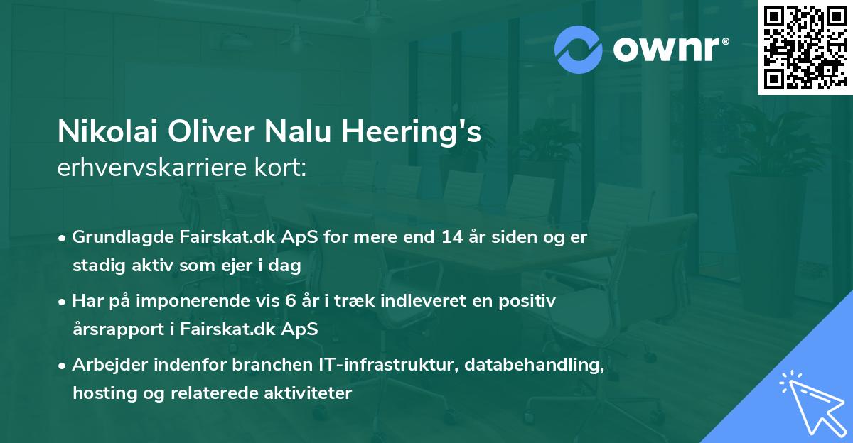 Nikolai Oliver Nalu Heering's erhvervskarriere kort