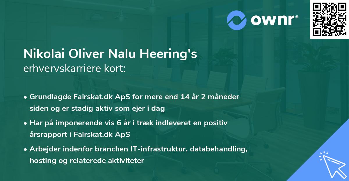 Nikolai Oliver Nalu Heering's erhvervskarriere kort