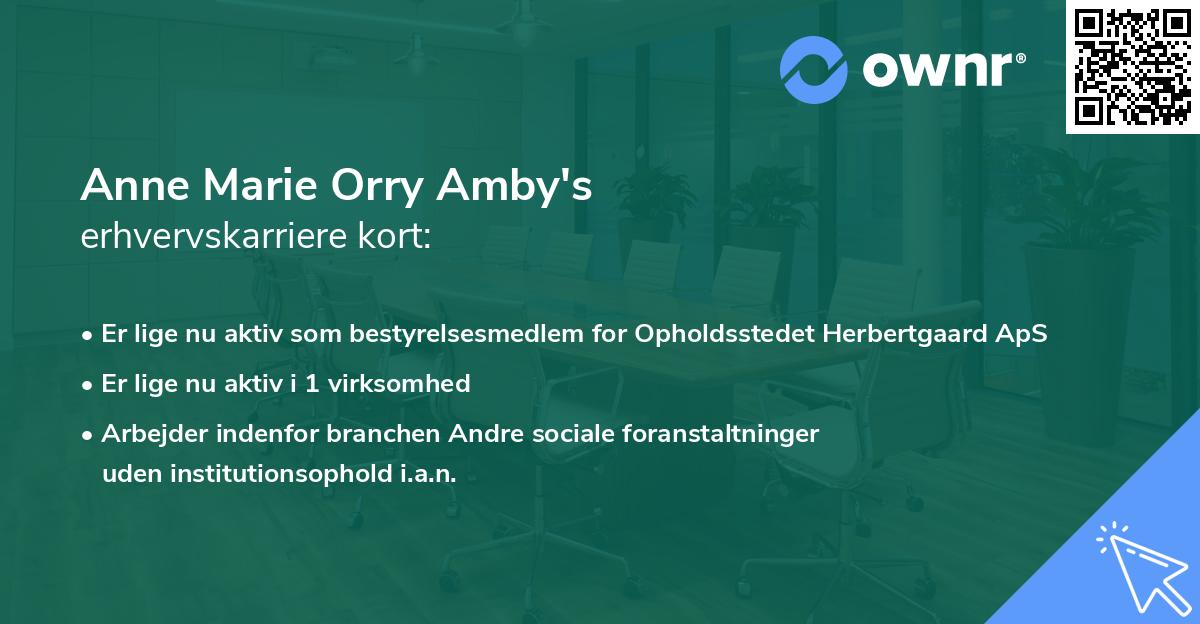 Anne Marie Orry Amby's erhvervskarriere kort