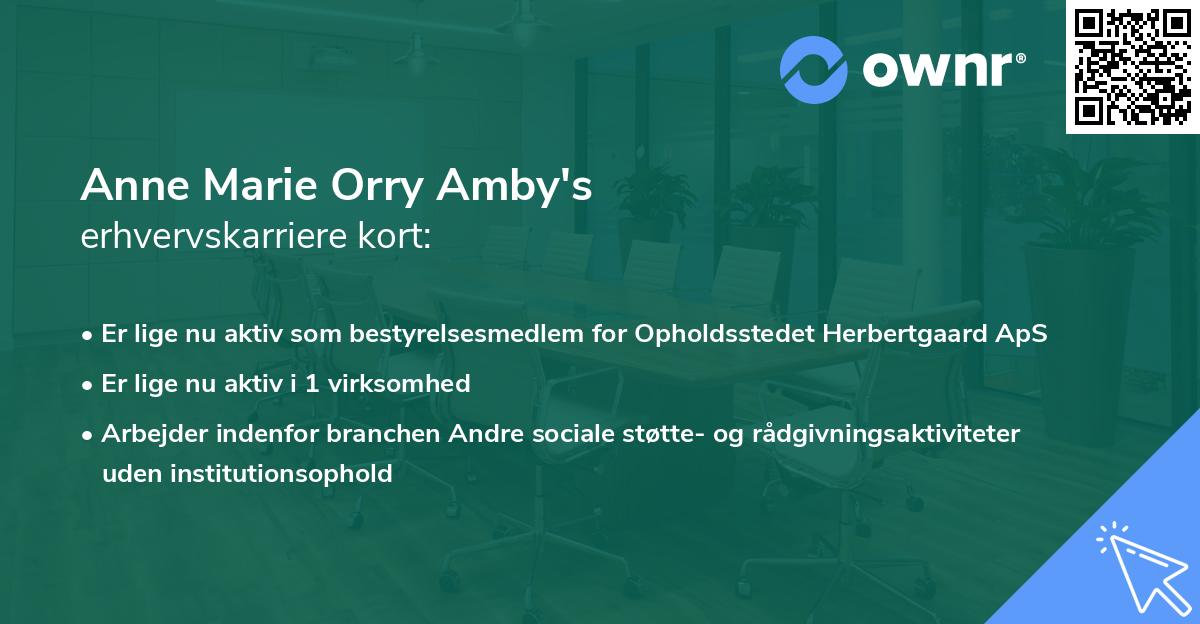 Anne Marie Orry Amby's erhvervskarriere kort