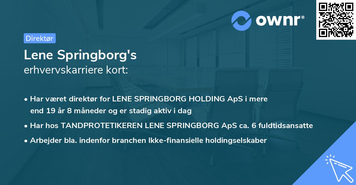 Lene Springborg's erhvervskarriere kort