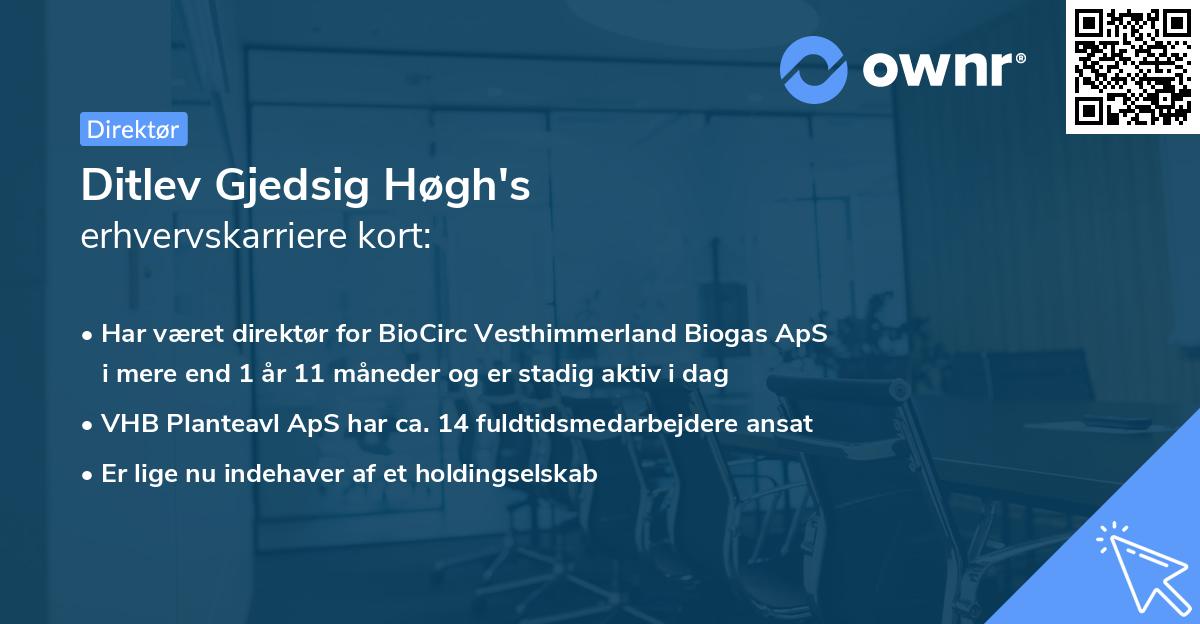 Ditlev Gjedsig Høgh's erhvervskarriere kort