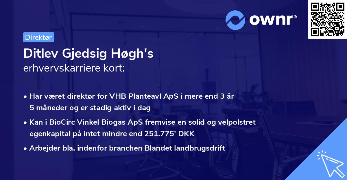 Ditlev Gjedsig Høgh's erhvervskarriere kort