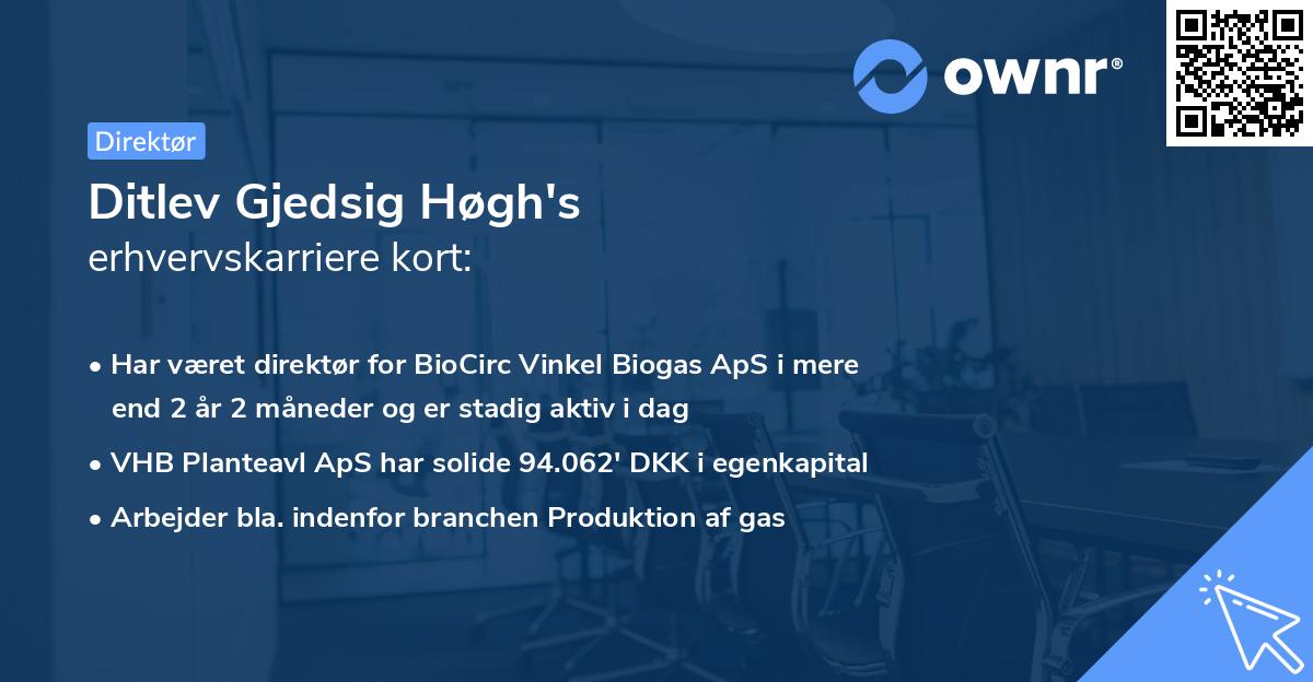Ditlev Gjedsig Høgh's erhvervskarriere kort