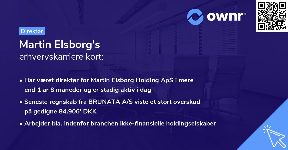 Martin Elsborg's erhvervskarriere kort