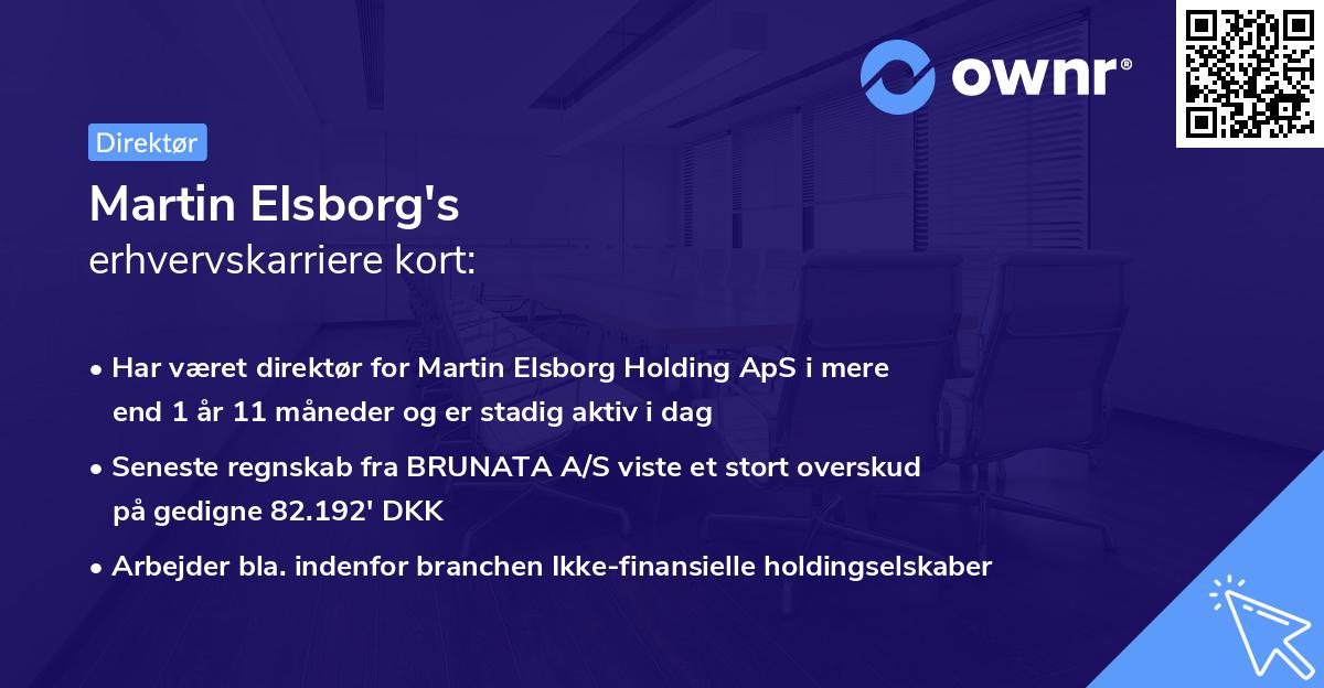 Martin Elsborg's erhvervskarriere kort