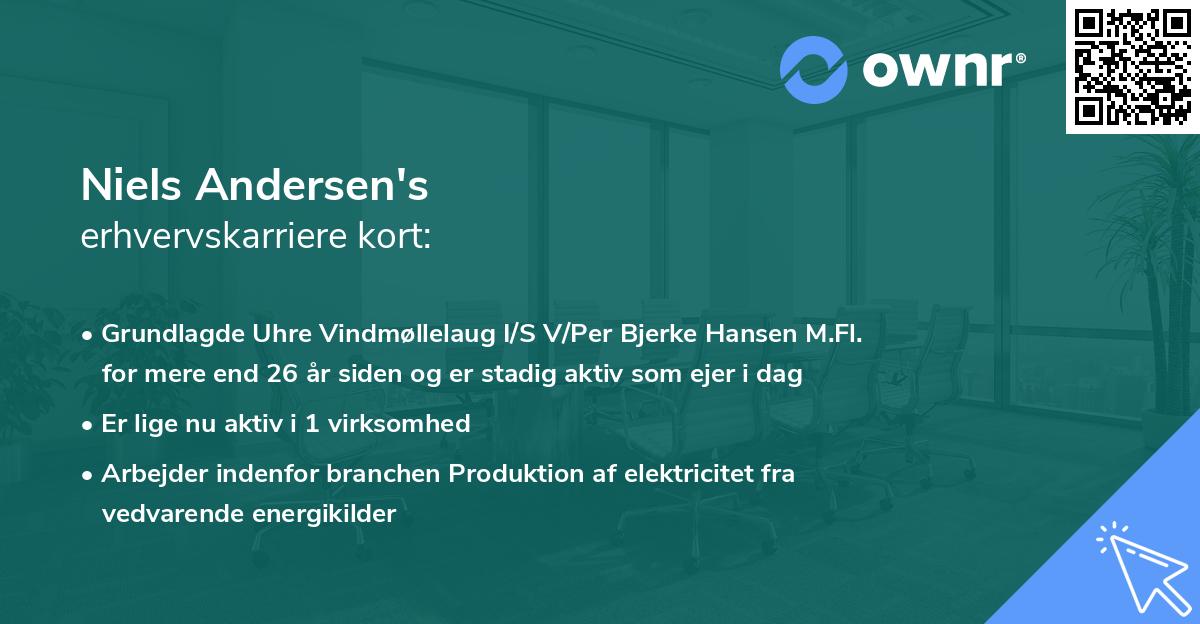 Niels Andersen's erhvervskarriere kort