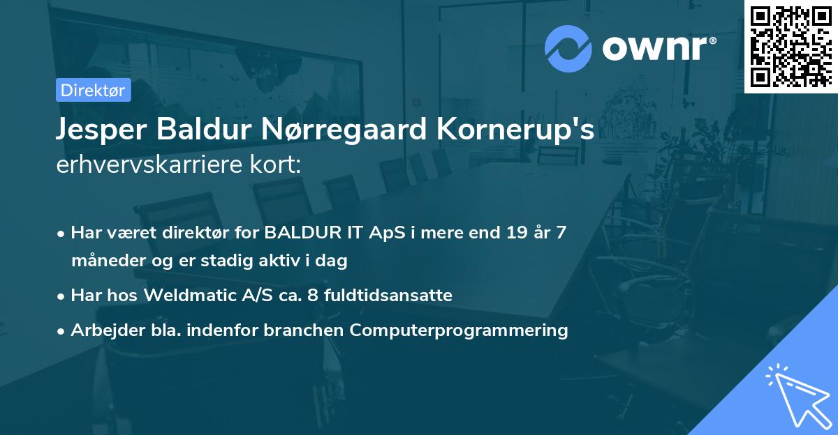Jesper Baldur Nørregaard Kornerup's erhvervskarriere kort