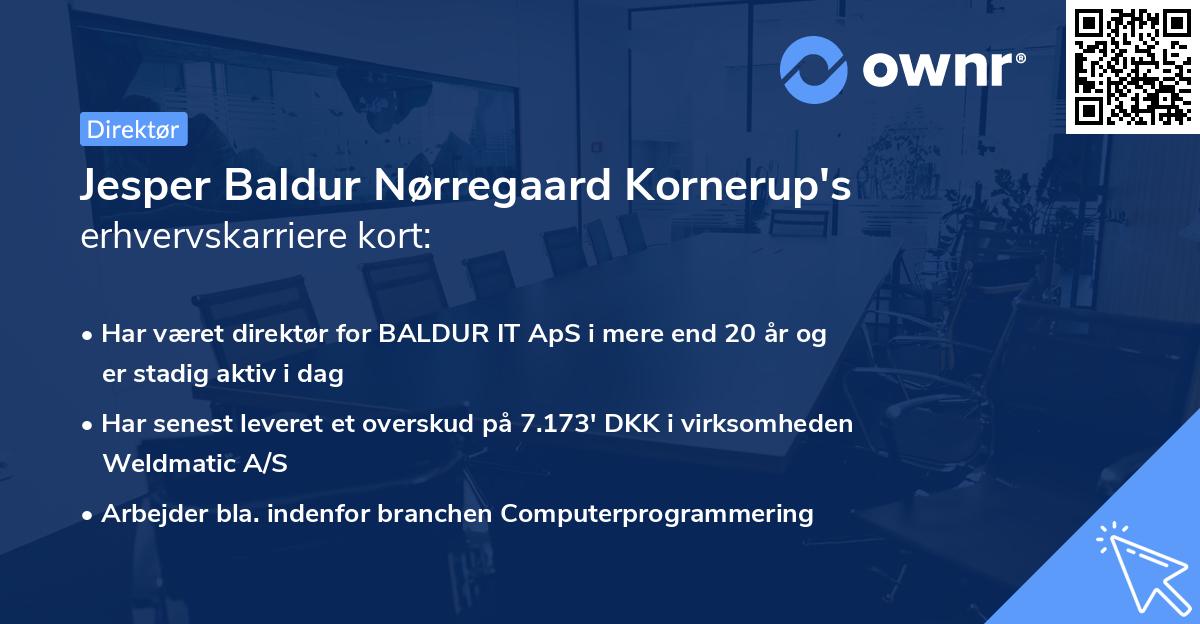 Jesper Baldur Nørregaard Kornerup's erhvervskarriere kort