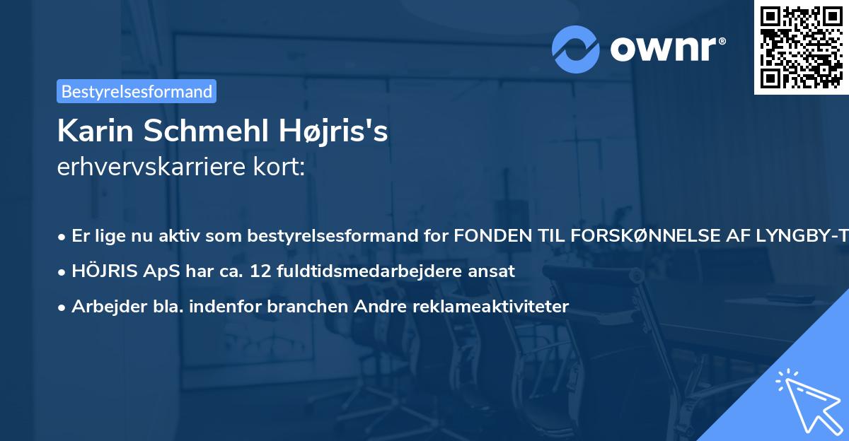 Karin Schmehl Højris's erhvervskarriere kort