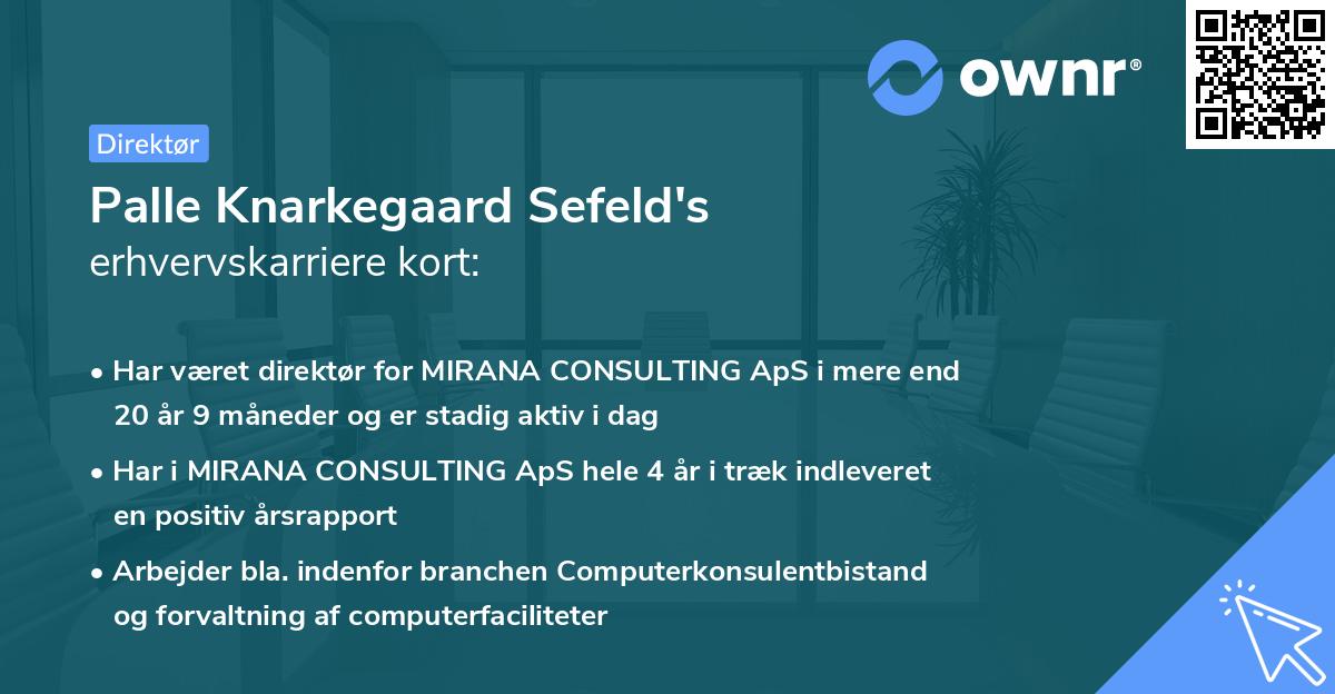 Palle Knarkegaard Sefeld's erhvervskarriere kort
