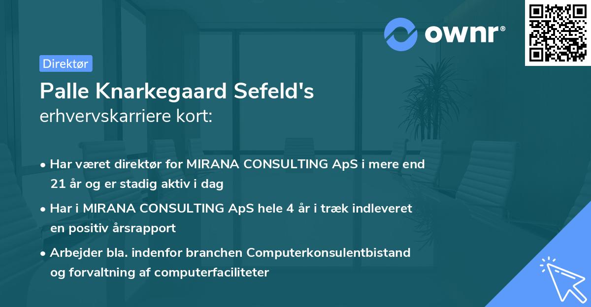 Palle Knarkegaard Sefeld's erhvervskarriere kort