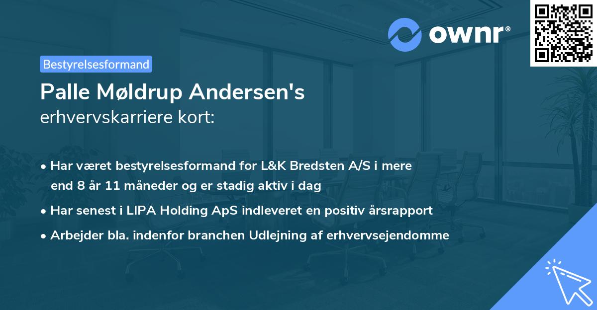 Palle Møldrup Andersen's erhvervskarriere kort