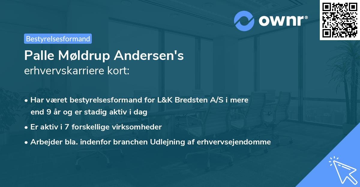 Palle Møldrup Andersen's erhvervskarriere kort