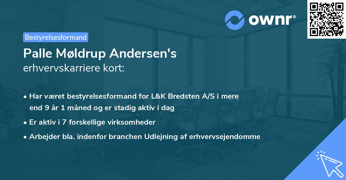 Palle Møldrup Andersen's erhvervskarriere kort