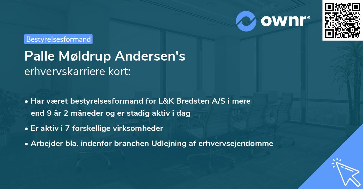 Palle Møldrup Andersen's erhvervskarriere kort