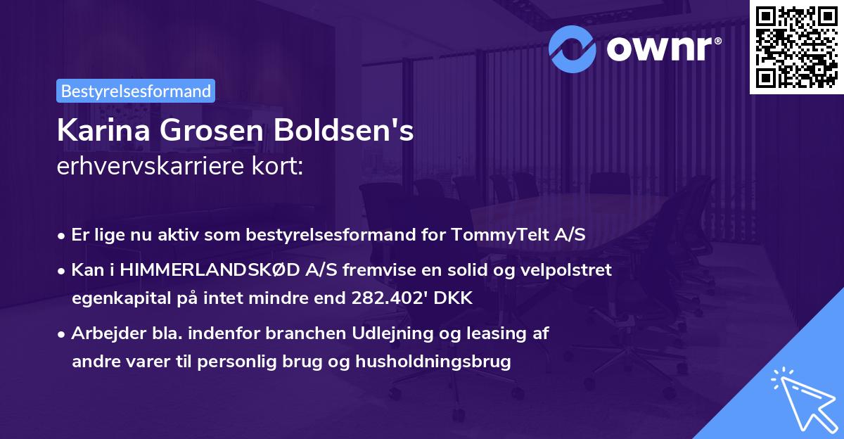 Karina Grosen Boldsen's erhvervskarriere kort