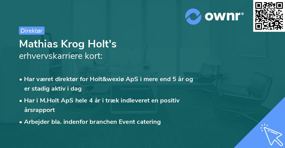 Mathias Krog Holt's erhvervskarriere kort