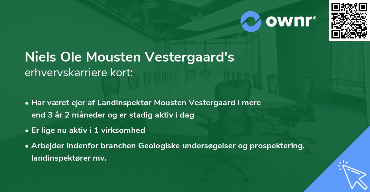 Niels Ole Mousten Vestergaard's erhvervskarriere kort