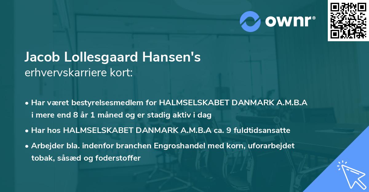 Jacob Lollesgaard Hansen's erhvervskarriere kort