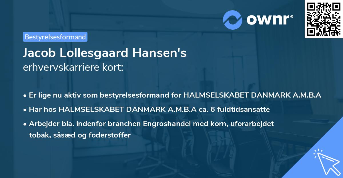 Jacob Lollesgaard Hansen's erhvervskarriere kort