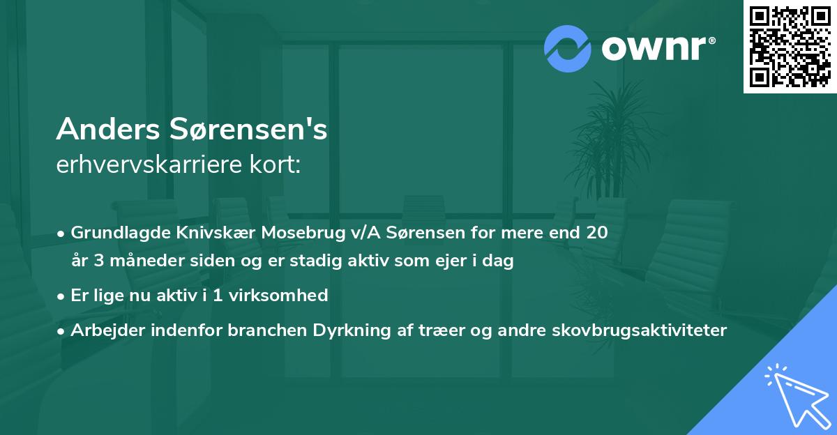 Anders Sørensen's erhvervskarriere kort