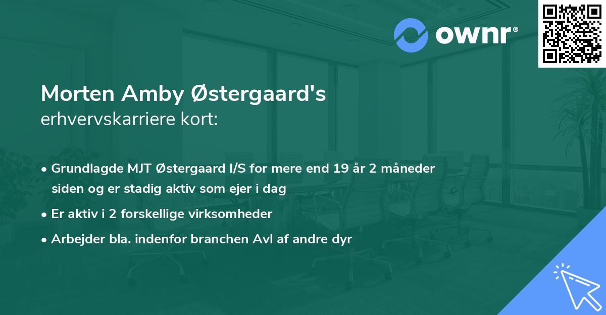 Morten Amby Østergaard's erhvervskarriere kort