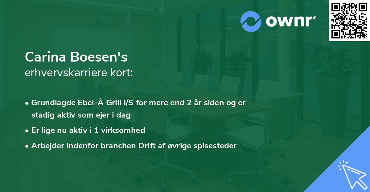 Carina Boesen's erhvervskarriere kort