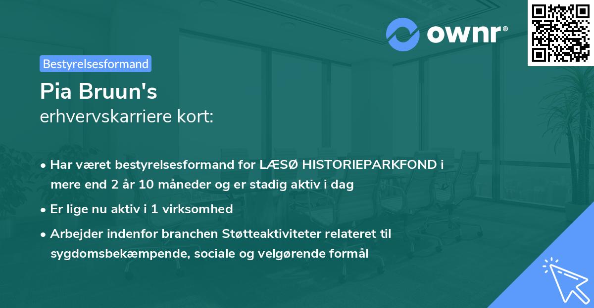 Pia Bruun's erhvervskarriere kort