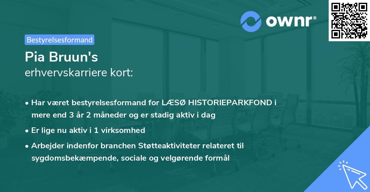 Pia Bruun's erhvervskarriere kort