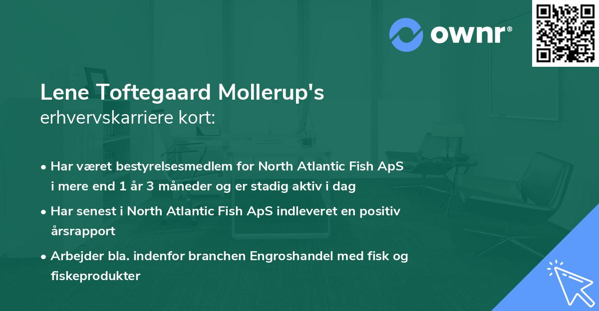 Lene Toftegaard Mollerup's erhvervskarriere kort