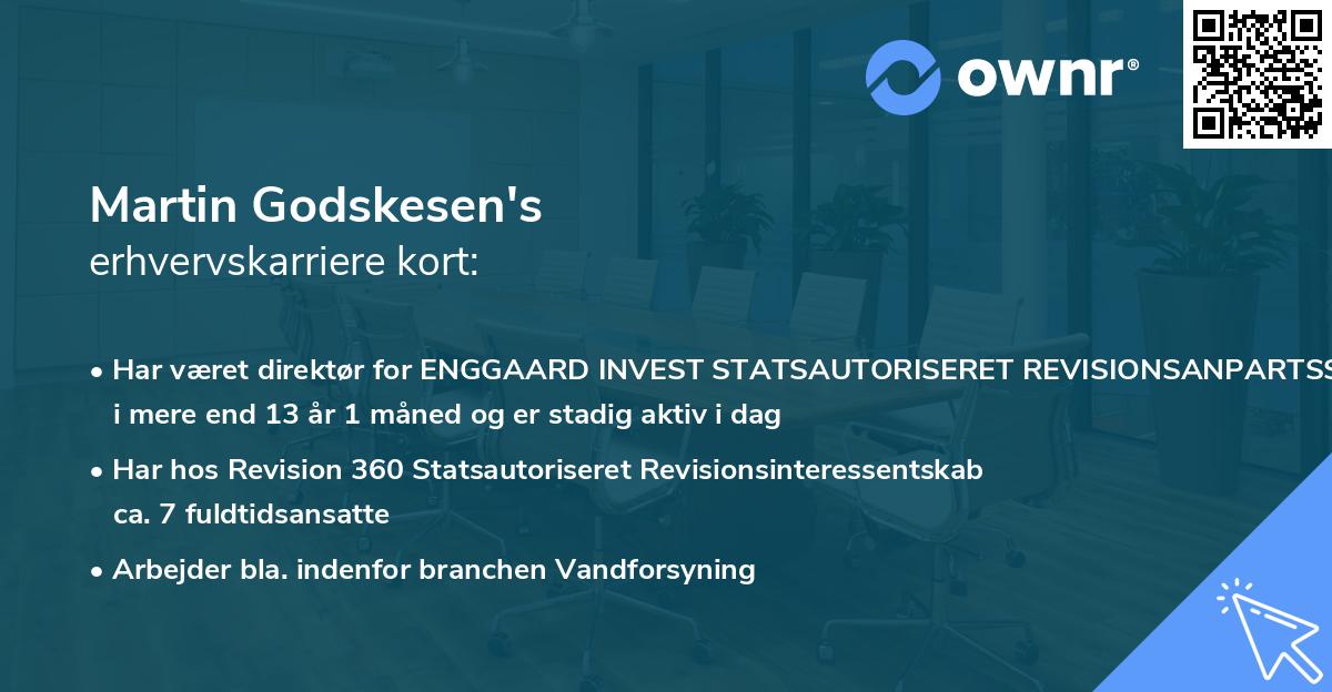 Martin Godskesen's erhvervskarriere kort